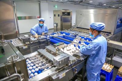 華蘭生物董事長安康 研發不斷前行，新型疫苗與生物制品蓄勢待發